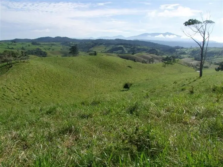 Seventh view of Homely rural property listing, F164 Lot 246 Palmerston Highway, Millaa Millaa QLD 4886