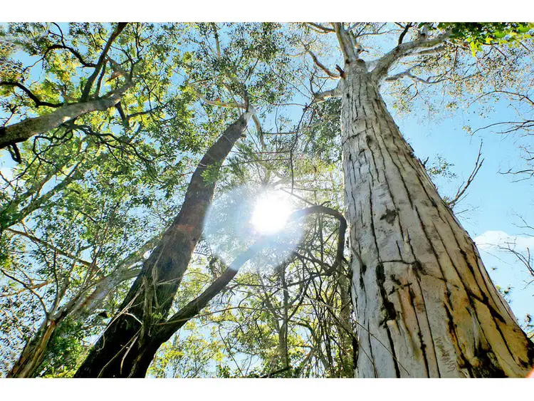 Third view of Homely land listing, LOT 80, 6 Summit Close, Glass House Mountains QLD 4518
