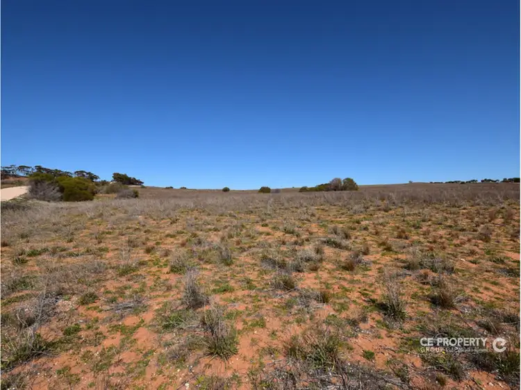 Fifth view of Homely rural property listing, LOT 122 East Front Road, Younghusband SA 5238