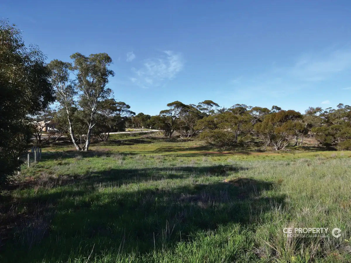 Main view of Homely land listing, LOT 189 Eichler Road, Punthari, Mannum SA 5238