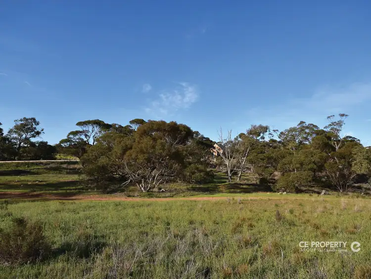 Second view of Homely land listing, LOT 189 Eichler Road, Punthari, Mannum SA 5238