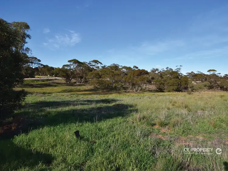 Fourth view of Homely land listing, LOT 189 Eichler Road, Punthari, Mannum SA 5238
