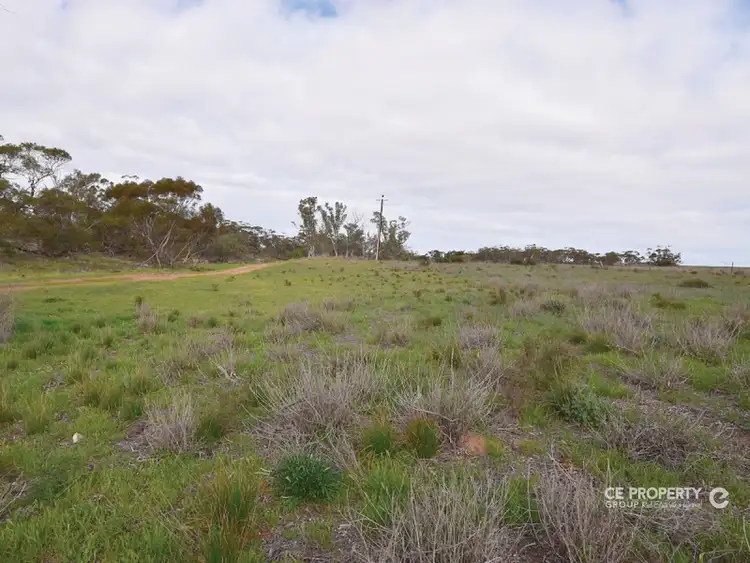 Fifth view of Homely land listing, LOT 189 Eichler Road, Punthari, Mannum SA 5238