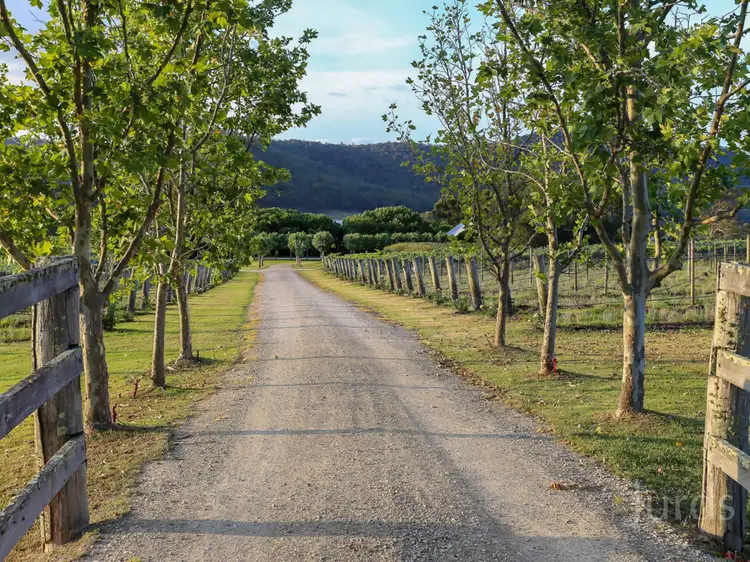 Second view of Homely rural property listing, 712 Wollombi Road, Broke NSW 2330