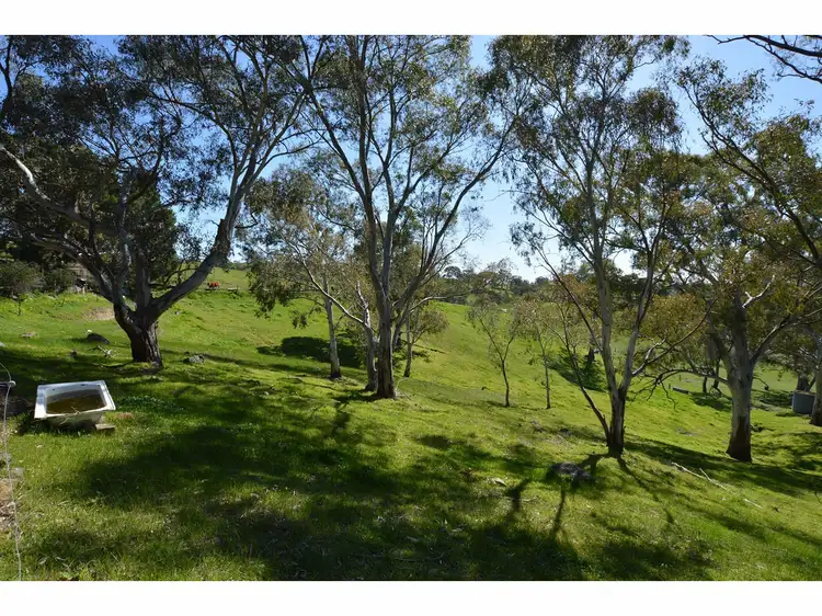 Third view of Homely rural property listing, 40 Rutland Drive, One Tree Hill SA 5114