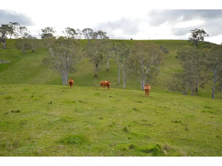 Fourth view of Homely rural property listing, 40 Rutland Drive, One Tree Hill SA 5114