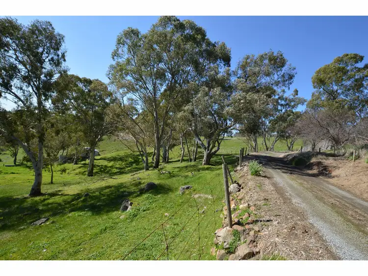 Fifth view of Homely rural property listing, 40 Rutland Drive, One Tree Hill SA 5114