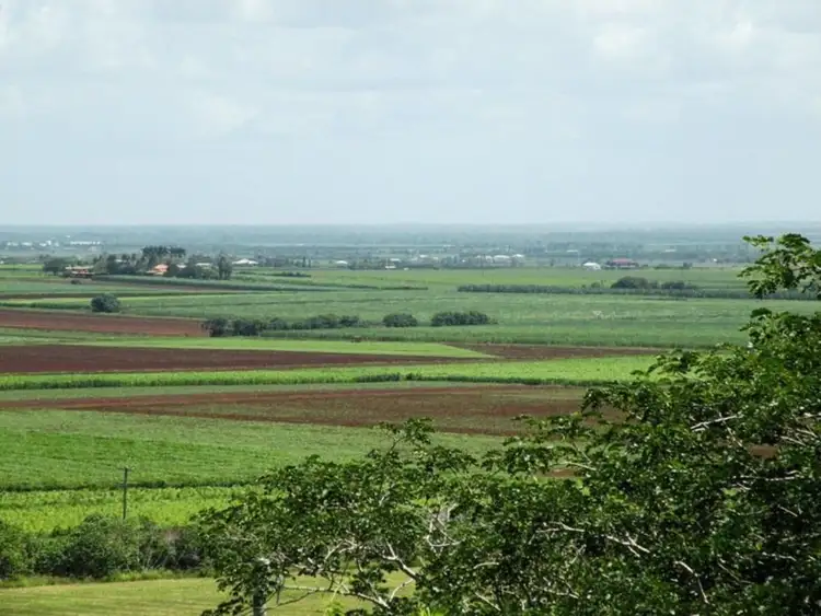 Fifth view of Homely land listing, 1 Grotherr Street, Qunaba QLD 4670