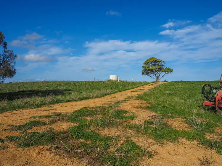 Fifth view of Homely rural property listing, 4023 Flinders Highway, Wangary SA 5607