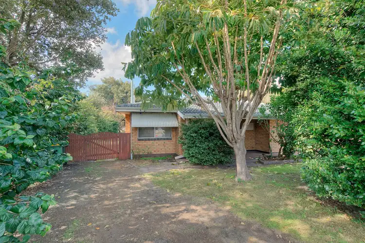 Main view of Homely house listing, 95 West Street, Busselton WA 6280