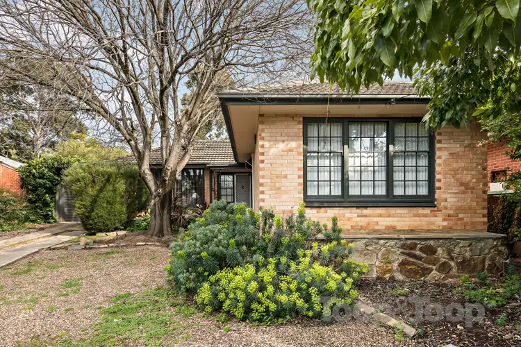 8 Norwich Avenue, Burnside SA 5066