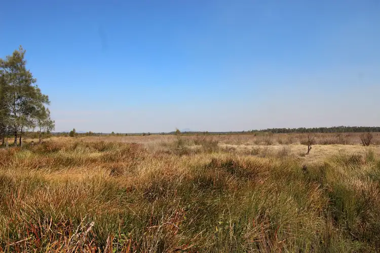 Fourth view of Homely rural property listing, Colletts Island Road, Ulmarra NSW 2462