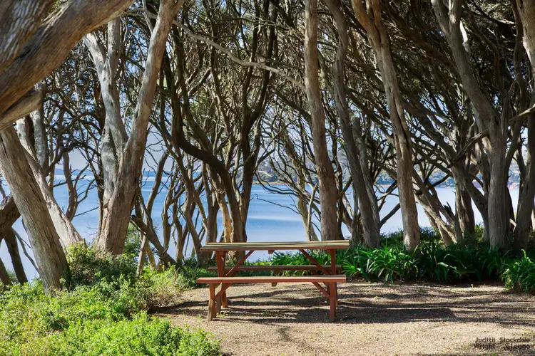 Fifth view of Homely house listing, 19 Rennison Road, Newhaven VIC 3925