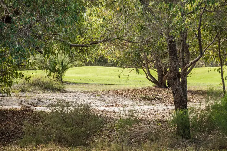 Fifth view of Homely house listing, 84 Cardinal Drive, The Vines WA 6069