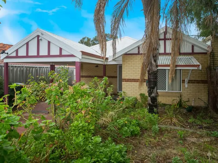 Main view of Homely house listing, 3/20 Lucas Street, Willagee WA 6156