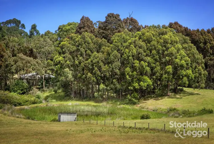 Main view of Homely rural property listing, 45-61 Waterfall Gully Road, Main Ridge VIC 3928