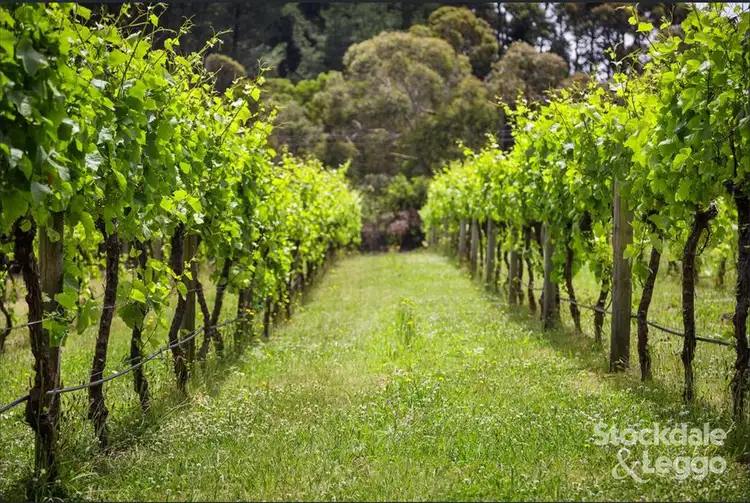 Sixth view of Homely rural property listing, 45-61 Waterfall Gully Road, Main Ridge VIC 3928