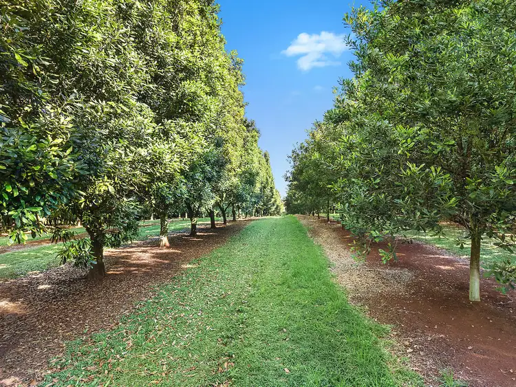 Second view of Homely rural property listing, 39 Grays Lane, Alstonville NSW 2477