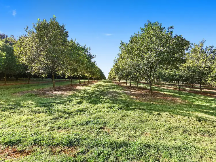Sixth view of Homely rural property listing, 39 Grays Lane, Alstonville NSW 2477