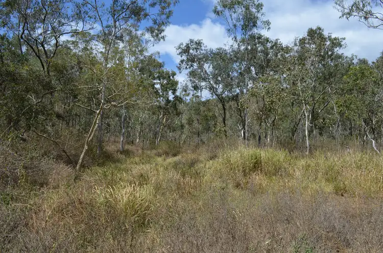 Sixth view of Homely rural property listing, LOT 4 Mulligan Highway, Mount Molloy QLD 4871