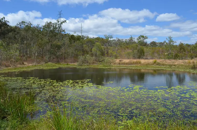 Seventh view of Homely rural property listing, LOT 4 Mulligan Highway, Mount Molloy QLD 4871