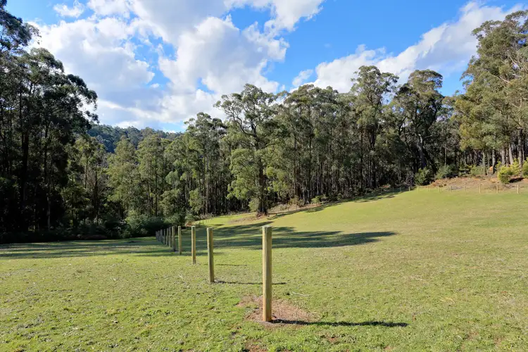Fifth view of Homely house listing, 45 Mentiplay Road, Gembrook VIC 3783