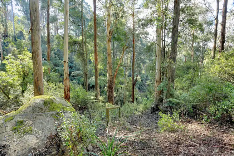 Sixth view of Homely house listing, 45 Mentiplay Road, Gembrook VIC 3783