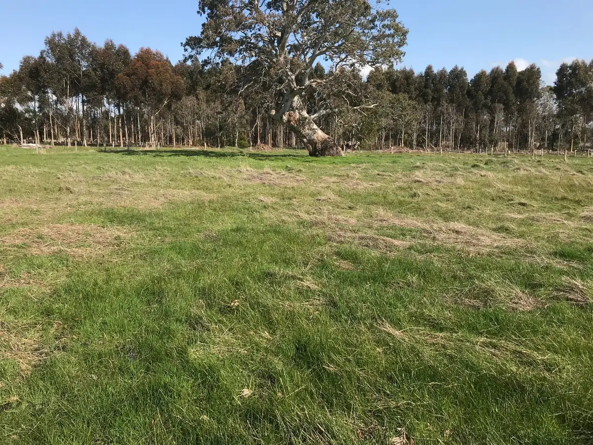 Main view of Homely land listing, LOT 4, 136 Recreation Road, Dunkeld VIC 3294