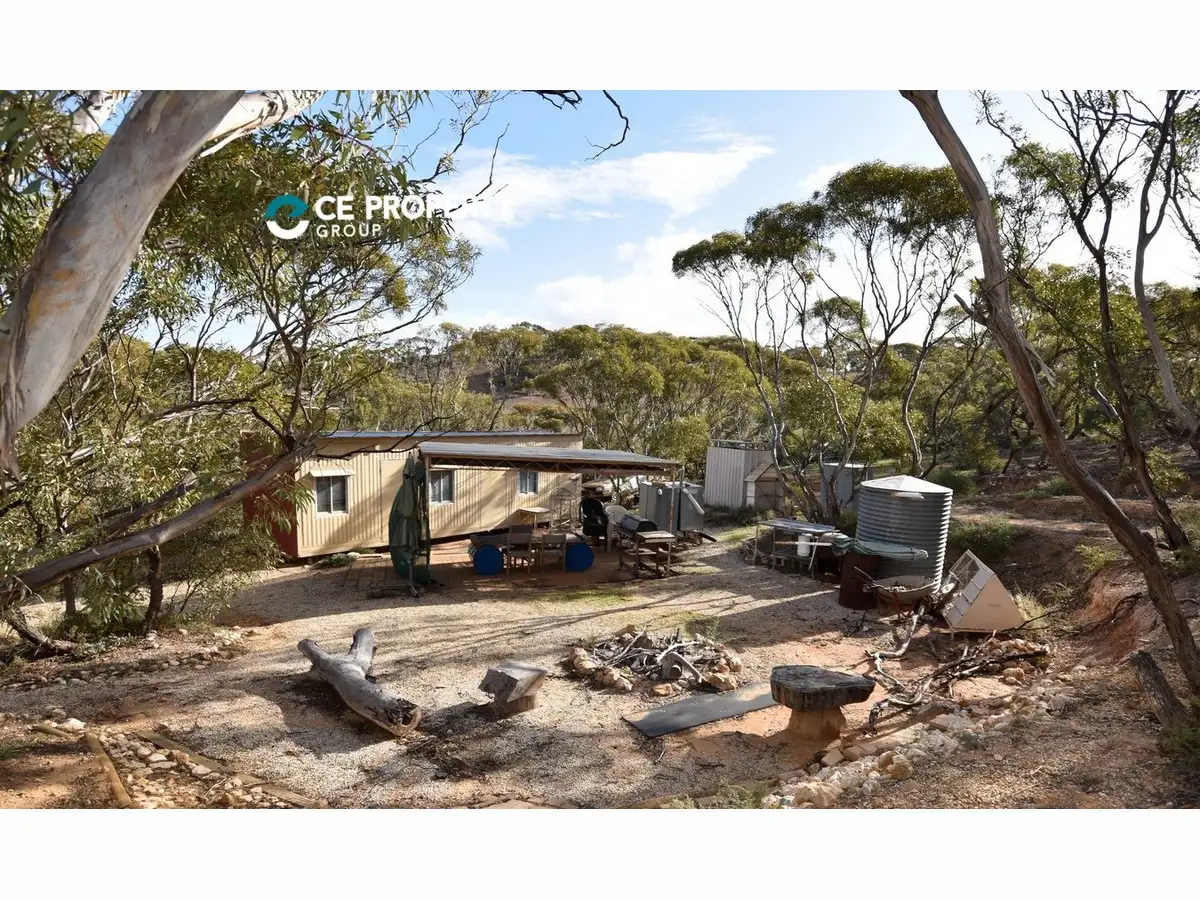 Main view of Homely rural property listing, 503 Klose Road, Mannum SA 5238