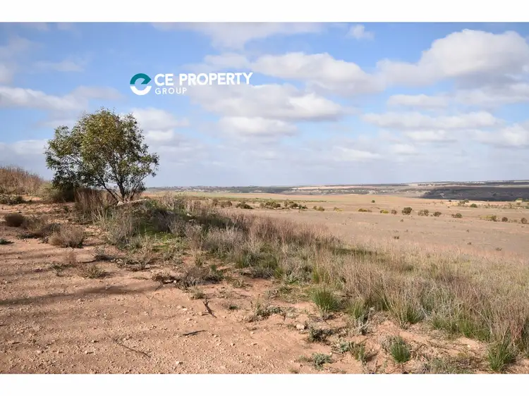 Fifth view of Homely rural property listing, 503 Klose Road, Mannum SA 5238