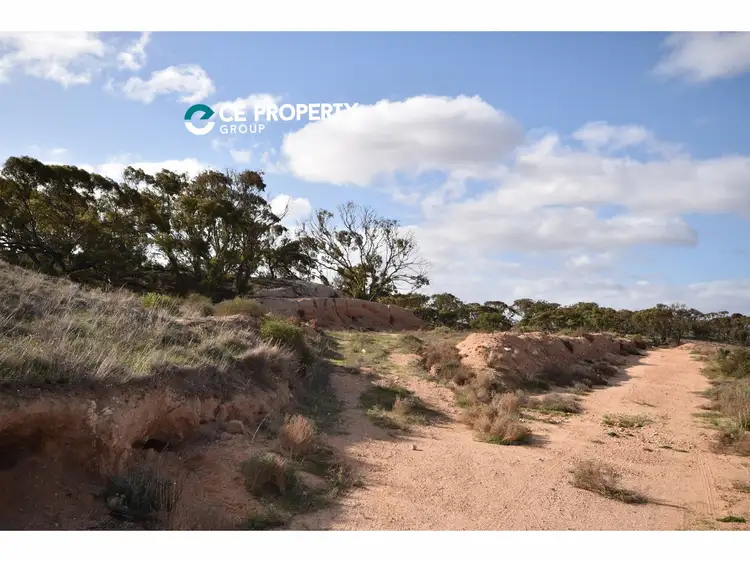 Sixth view of Homely rural property listing, 503 Klose Road, Mannum SA 5238