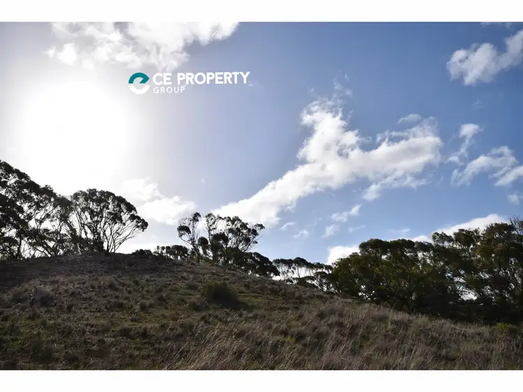 Seventh view of Homely rural property listing, 503 Klose Road, Mannum SA 5238
