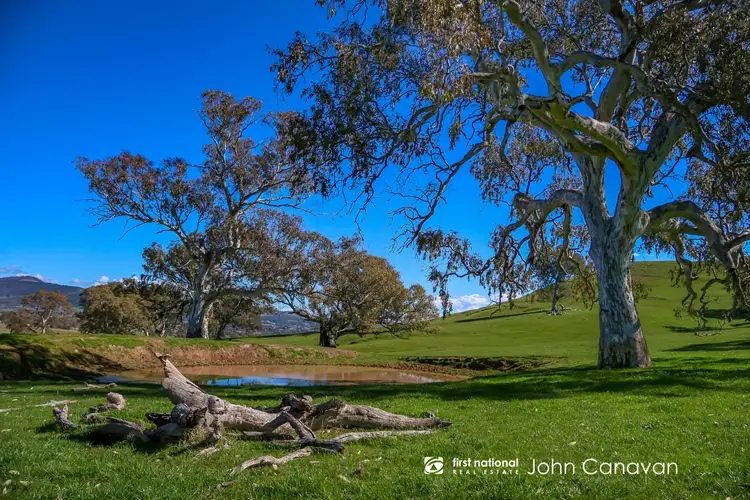 Third view of Homely rural property listing, 347 Mt Battery Road, Mansfield VIC 3722