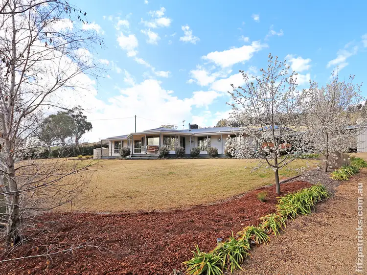 Main view of Homely house listing, 20 Jarvis Street, Oura NSW 2650