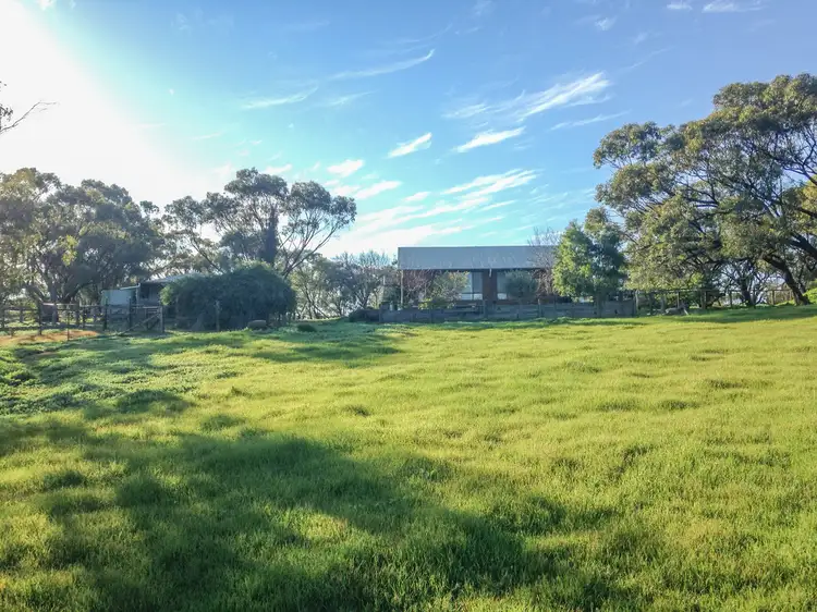 Main view of Homely house listing, 31 Katta Rise, Toodyay WA 6566