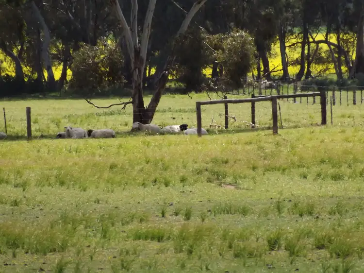 Third view of Homely land listing, LOT 107 Laura-Beetaloo Road, Laura SA 5480