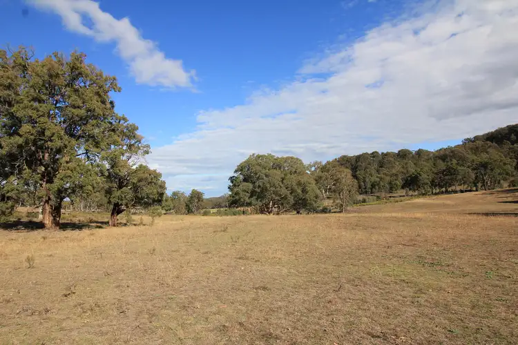 Seventh view of Homely rural property listing, 1123 Botobolar Road, Mudgee NSW 2850