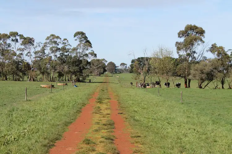 Second view of Homely rural property listing, 10 Joe Blakes Road, Cobden VIC 3266