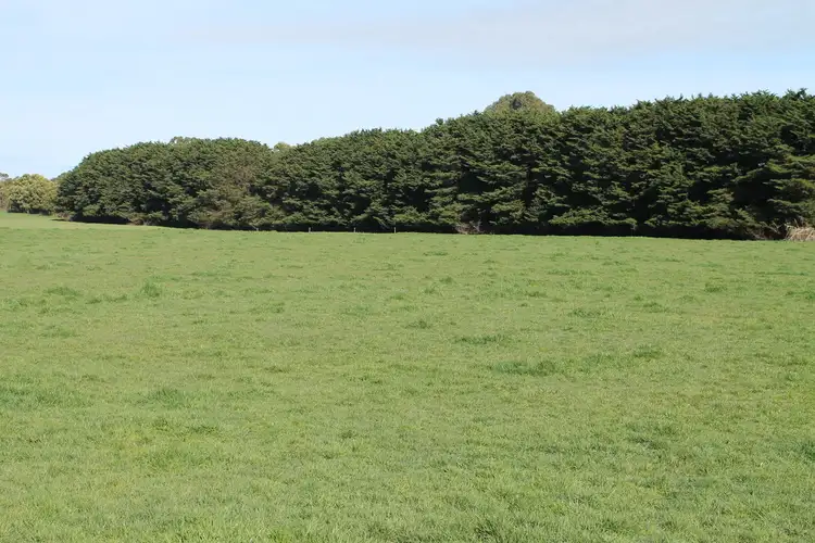 Fourth view of Homely rural property listing, 10 Joe Blakes Road, Cobden VIC 3266