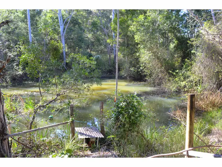 Second view of Homely rural property listing, 442 Bellangry Road, Mortons Creek NSW 2446