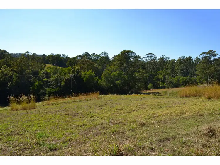 Third view of Homely rural property listing, 442 Bellangry Road, Mortons Creek NSW 2446