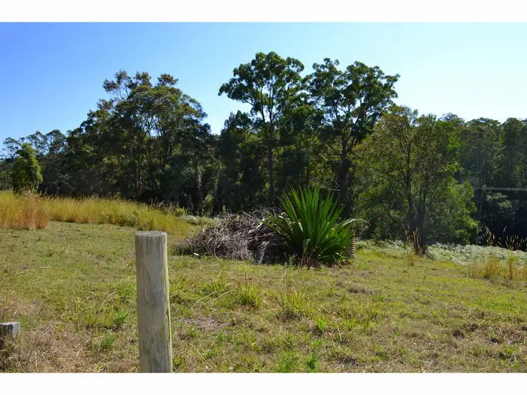 Fourth view of Homely rural property listing, 442 Bellangry Road, Mortons Creek NSW 2446