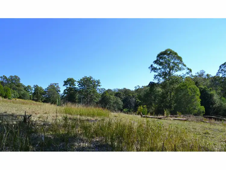 Fifth view of Homely rural property listing, 442 Bellangry Road, Mortons Creek NSW 2446