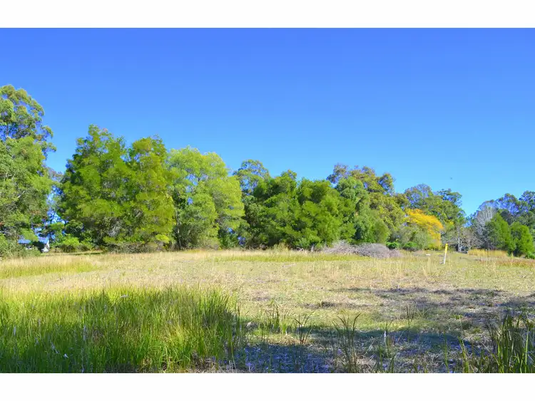 Sixth view of Homely rural property listing, 442 Bellangry Road, Mortons Creek NSW 2446