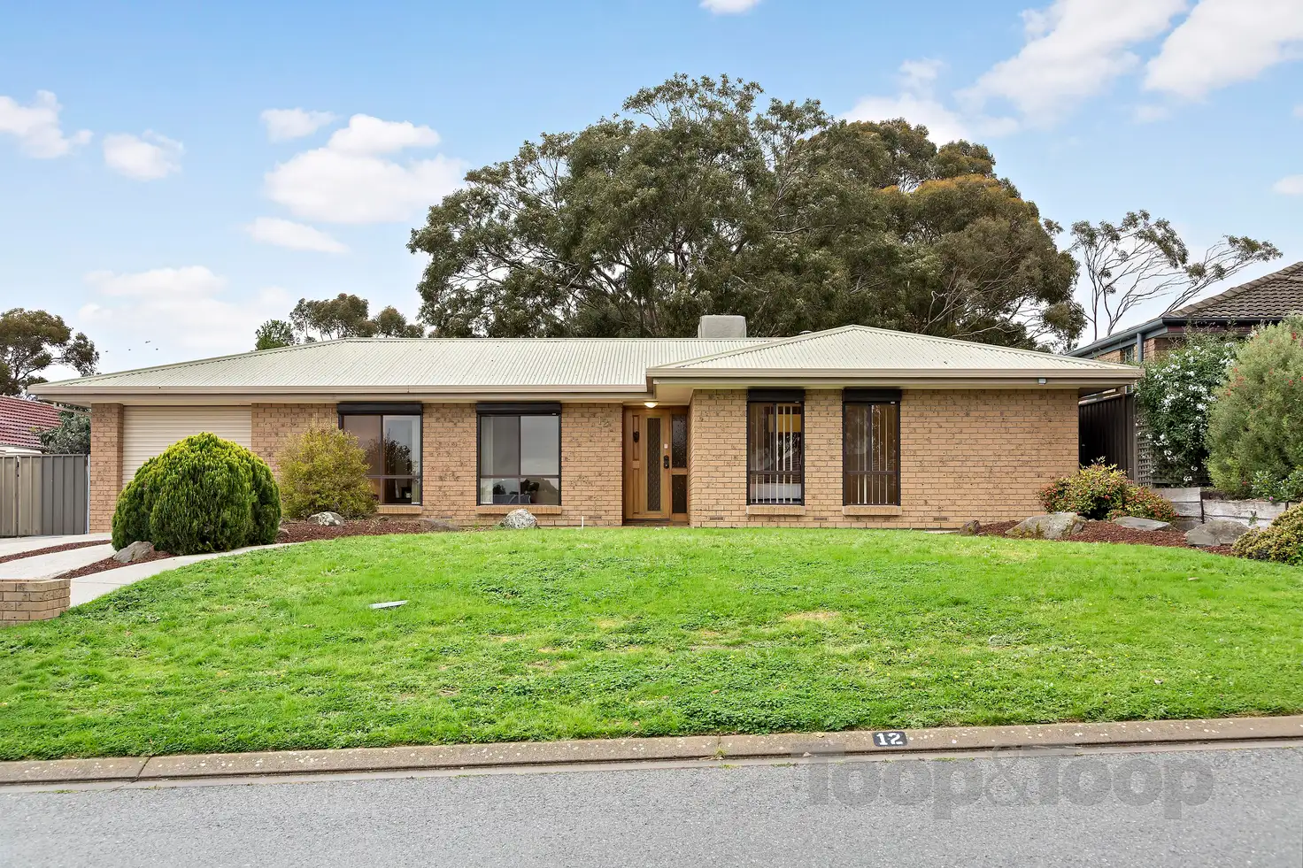 Main view of Homely house listing, 12 Hayford Crescent, Morphett Vale SA 5162