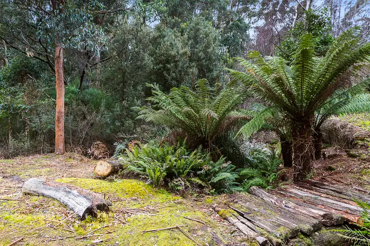 326 Strickland Avenue, South Hobart TAS 7004