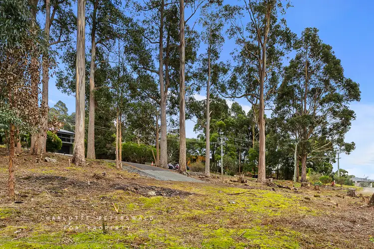 Fifth view of Homely land listing, 326 Strickland Avenue, South Hobart TAS 7004