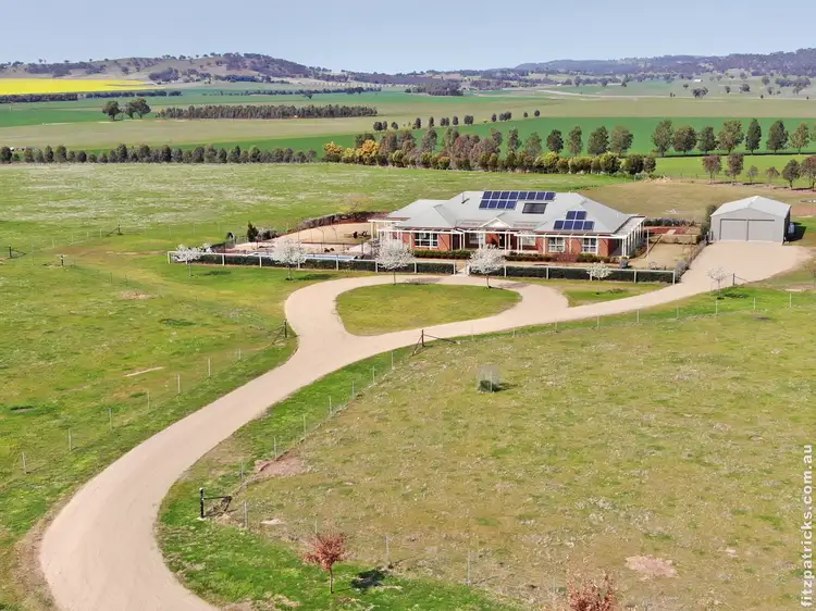 Second view of Homely house listing, 86 Butterbush Road, Gregadoo NSW 2650
