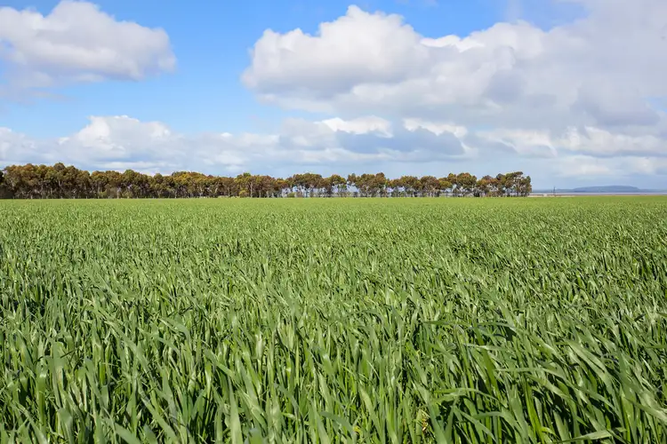 2170 Foxhow Road, Foxhow VIC 3323