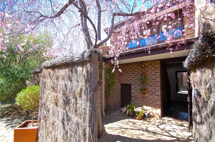 16/53 Elimatta Street, Braddon ACT 2612